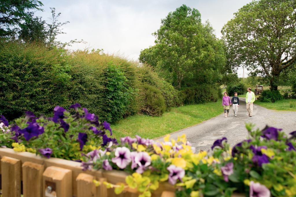 Burren Glamping Kilfenora Exterior foto